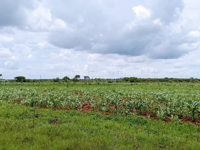 Farm/Plot for Sale in Montrose, Gweru