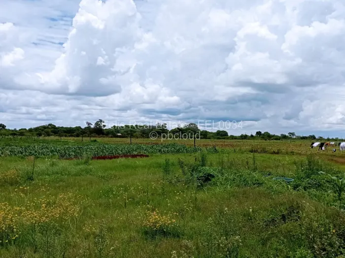 Farm/Plot for Sale in Montrose, Gweru