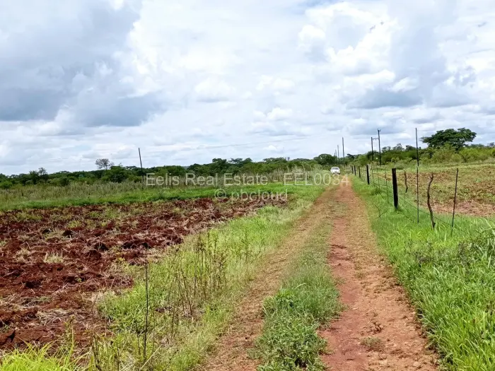 Farm/Plot for Sale in Montrose, Gweru