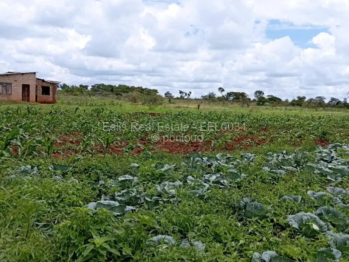Farm/Plot for Sale in Montrose, Gweru