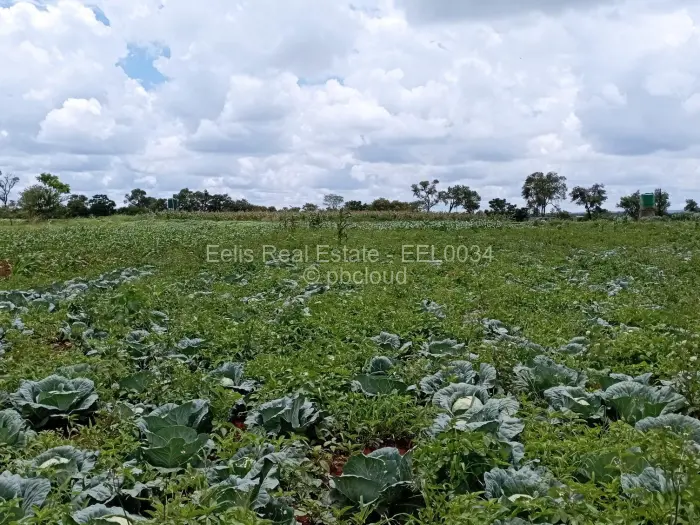 Farm/Plot for Sale in Montrose, Gweru