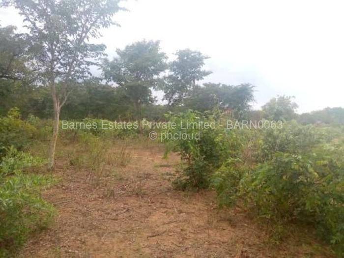 Farm/Plot for Sale in Shangani, Shangani