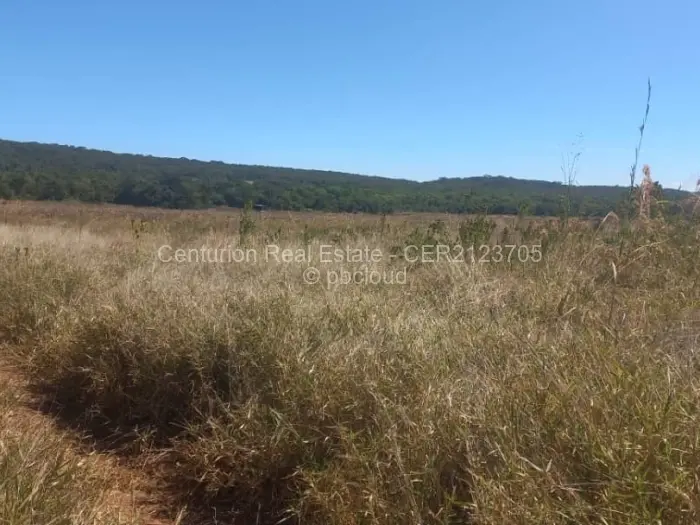 Farm/Plot for Sale in Selous, Selous