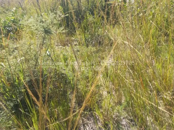 Farm/Plot for Sale in Selous, Selous