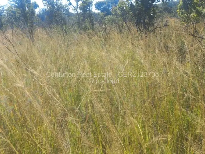 Farm/Plot for Sale in Selous, Selous