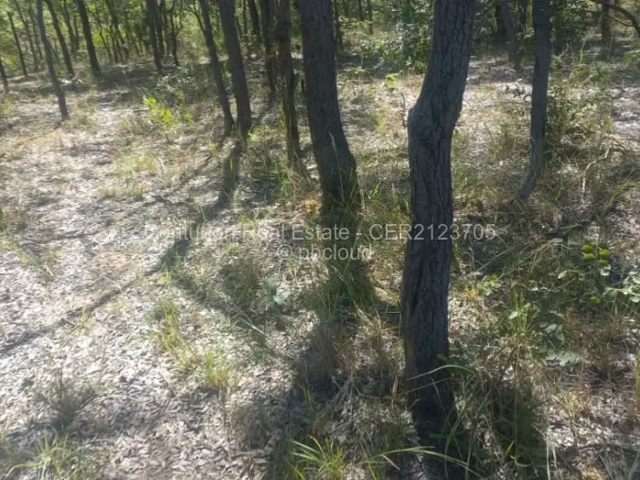 Farm/Plot for Sale in Selous, Selous