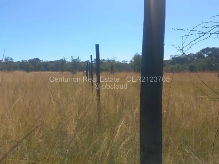 Farm/Plot for Sale in Selous, Selous