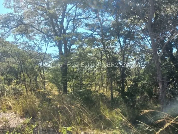 Farm/Plot for Sale in Selous, Selous