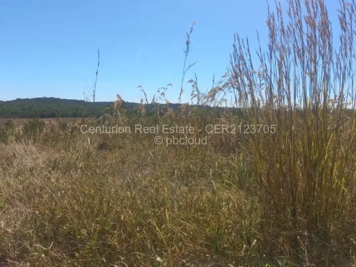 Farm/Plot for Sale in Selous, Selous