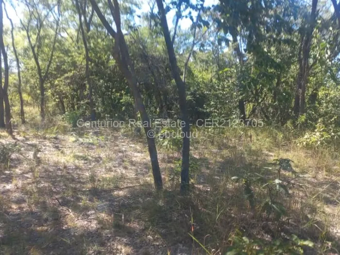 Farm/Plot for Sale in Selous, Selous