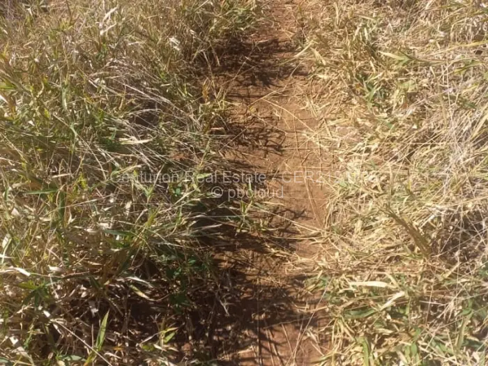 Farm/Plot for Sale in Selous, Selous