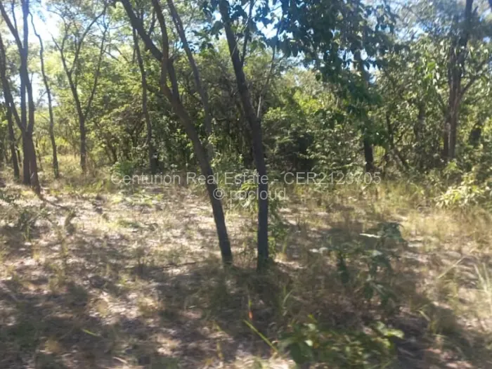 Farm/Plot for Sale in Selous, Selous