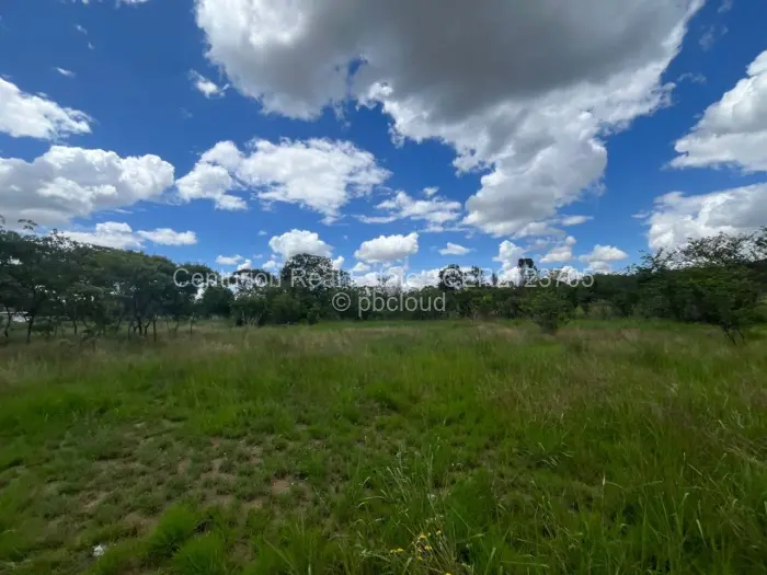 Farm/Plot for Sale in Selous, Selous