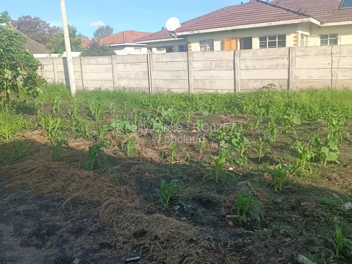 5 Bedroom House for Sale in Chadcombe, Harare