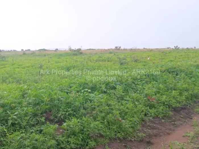 Residential Stand for Sale in Norton, Norton