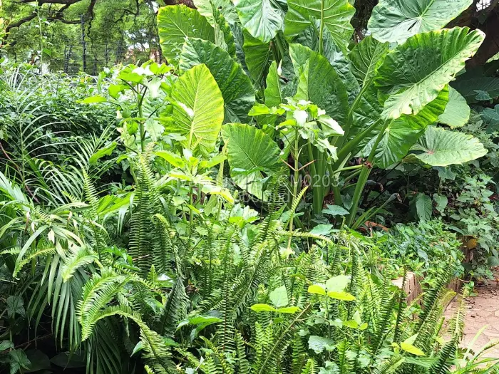 Flat/Apartment to Rent in Avenues, Harare