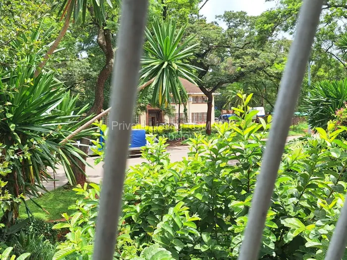 Flat/Apartment to Rent in Avenues, Harare