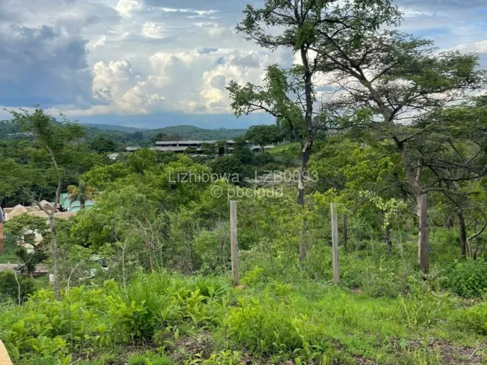 Residential Stand for Sale in Shawasha Hills, Harare