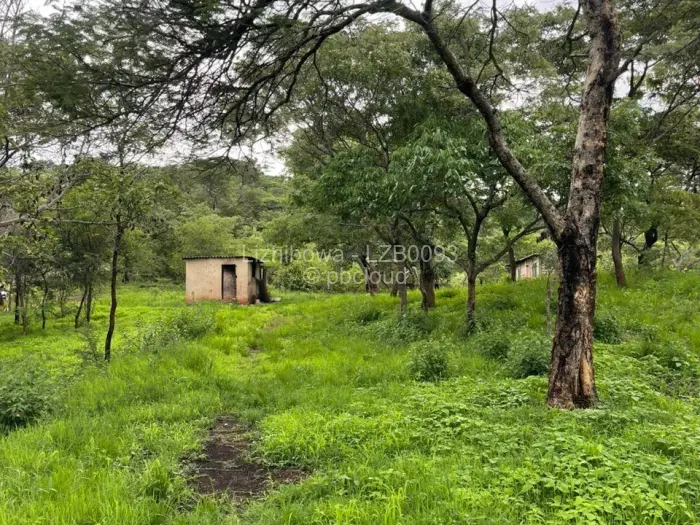 Residential Stand for Sale in Shawasha Hills, Harare