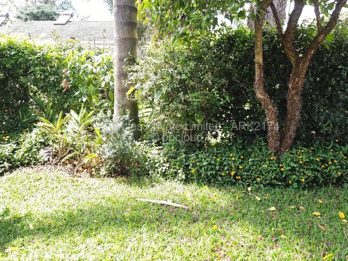 2 Bedroom Cottage/Garden Flat to Rent in Avondale, Harare