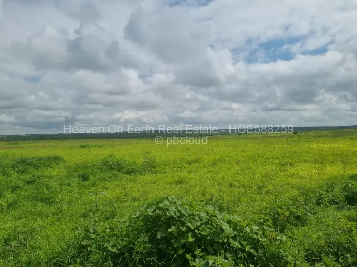 Farm/Plot for Sale in Karoi, Karoi