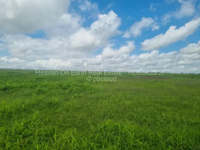 Farm/Plot for Sale in Karoi, Karoi