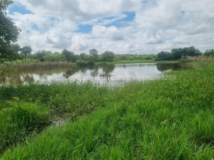 Farm/Plot for Sale in Karoi, Karoi