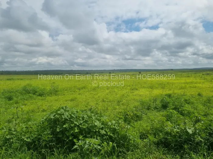 Farm/Plot for Sale in Karoi, Karoi