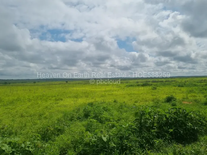 Farm/Plot for Sale in Karoi, Karoi