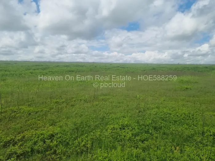 Farm/Plot for Sale in Karoi, Karoi