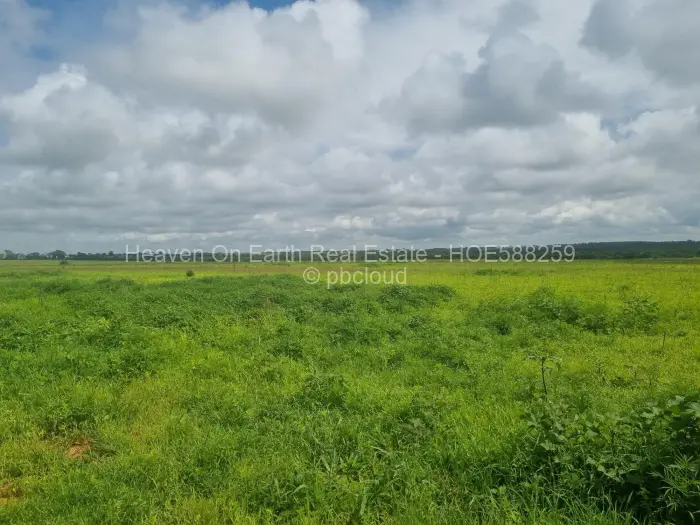 Farm/Plot for Sale in Karoi, Karoi