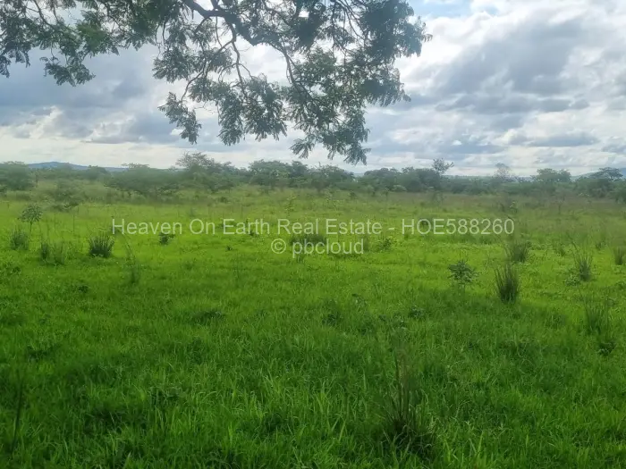 Farm/Plot for Sale in Mhangura, Mhangura