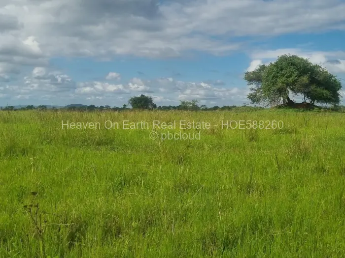 Farm/Plot for Sale in Mhangura, Mhangura