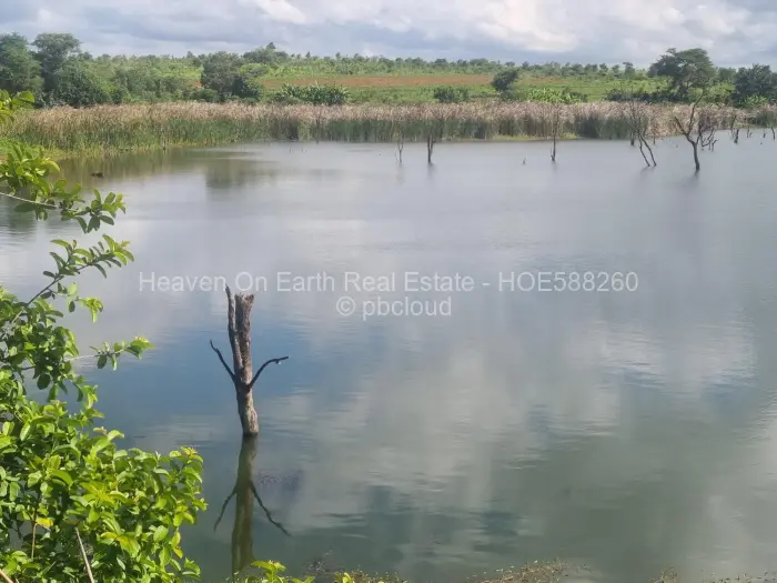 Farm/Plot for Sale in Mhangura, Mhangura