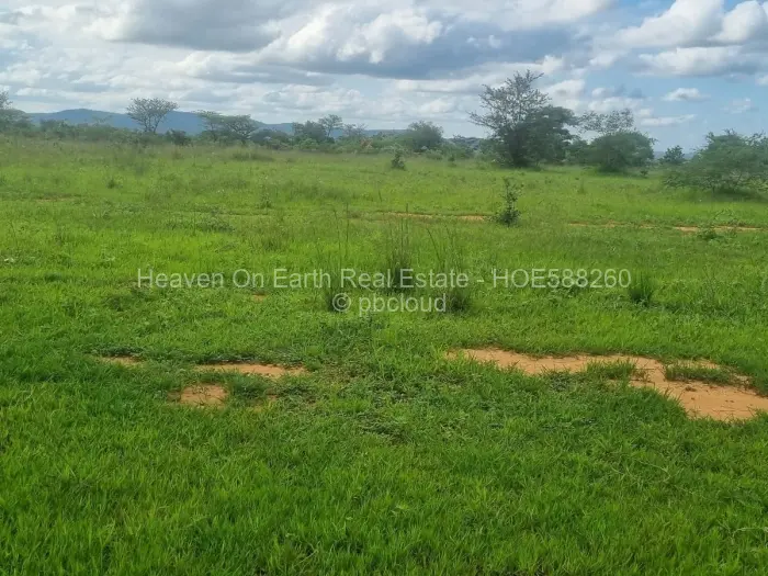 Farm/Plot for Sale in Mhangura, Mhangura
