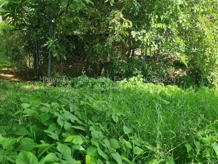 Residential Stand for Sale in Mabelreign, Harare