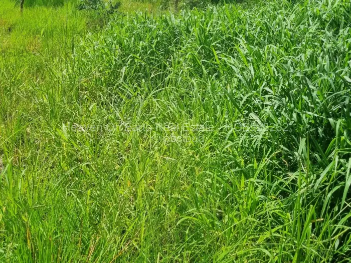 Residential Stand for Sale in Mabelreign, Harare