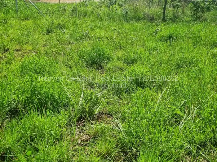 Residential Stand for Sale in Mabelreign, Harare