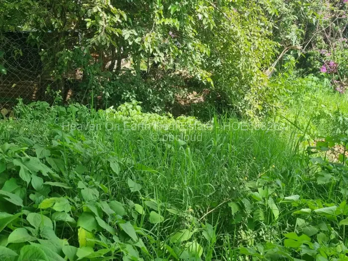 Residential Stand for Sale in Meyrick Park, Harare