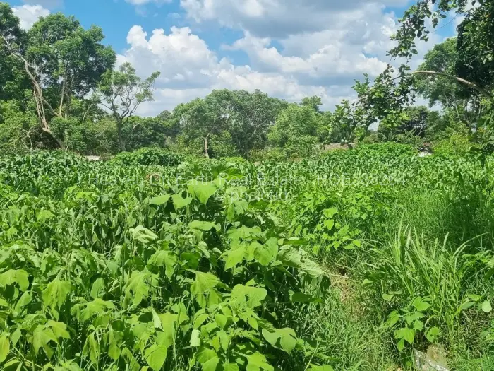 Residential Stand for Sale in Meyrick Park, Harare