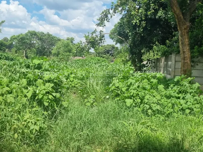 Residential Stand for Sale in Meyrick Park, Harare