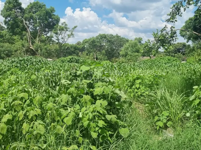 Residential Stand for Sale in Meyrick Park, Harare