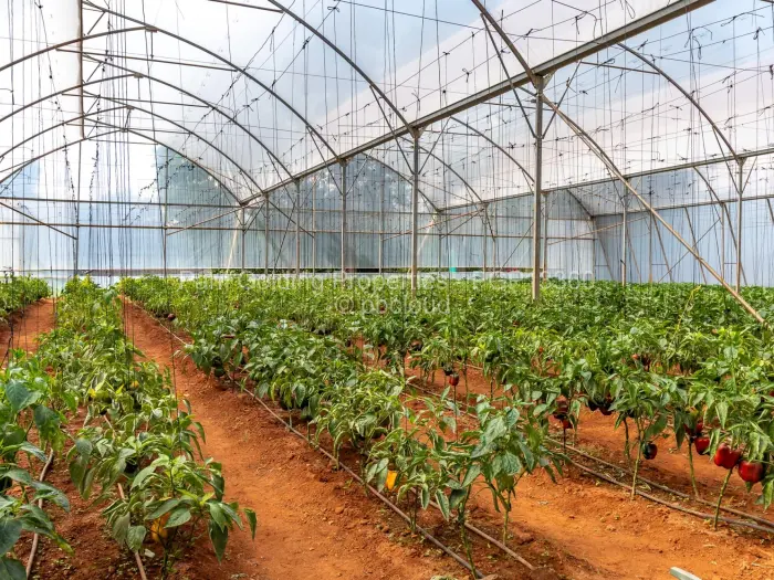 7 Bedroom House for Sale in Kambanji, Harare