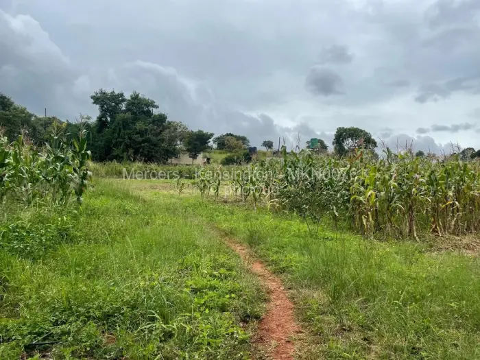 Farm/Plot for Sale in Glen Forest, Harare