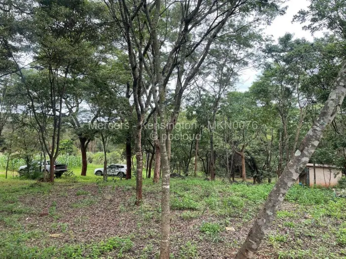 Farm/Plot for Sale in Glen Forest, Harare
