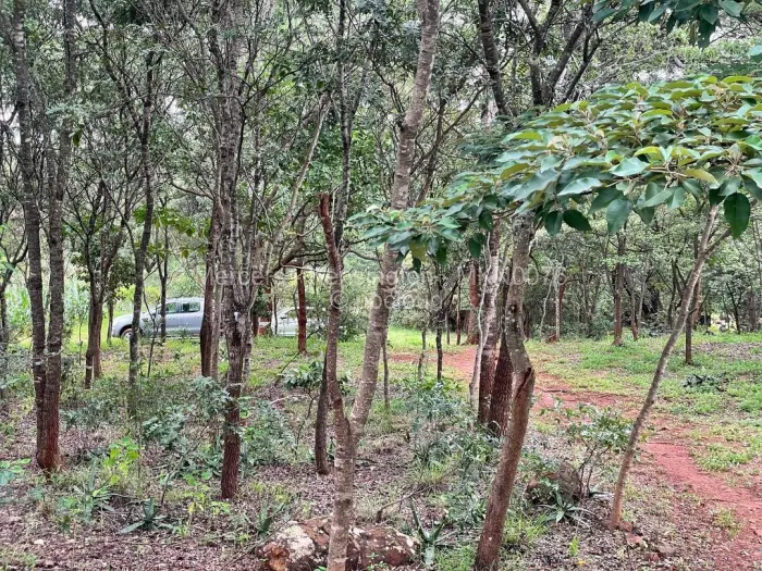 Farm/Plot for Sale in Glen Forest, Harare