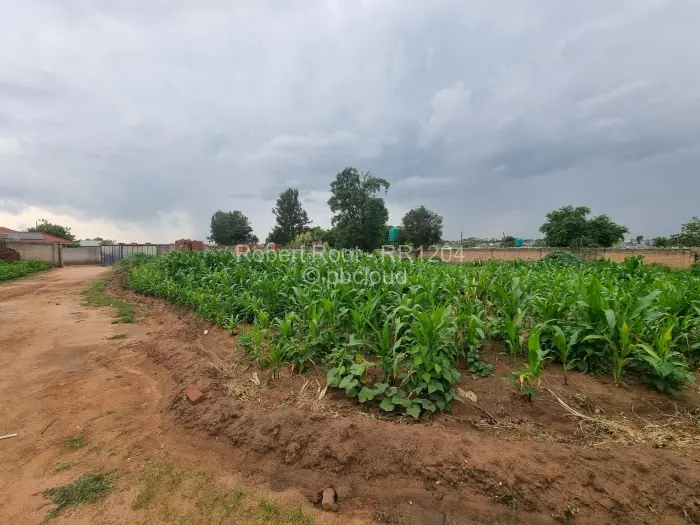 3 Bedroom House for Sale in Riverside, Ruwa