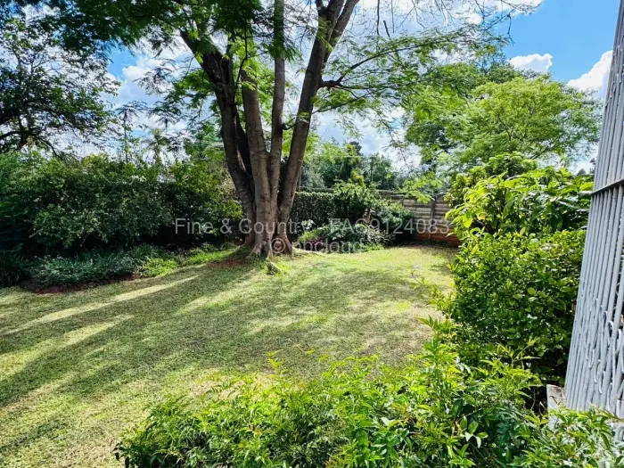 Flat/Apartment to Rent in Avondale