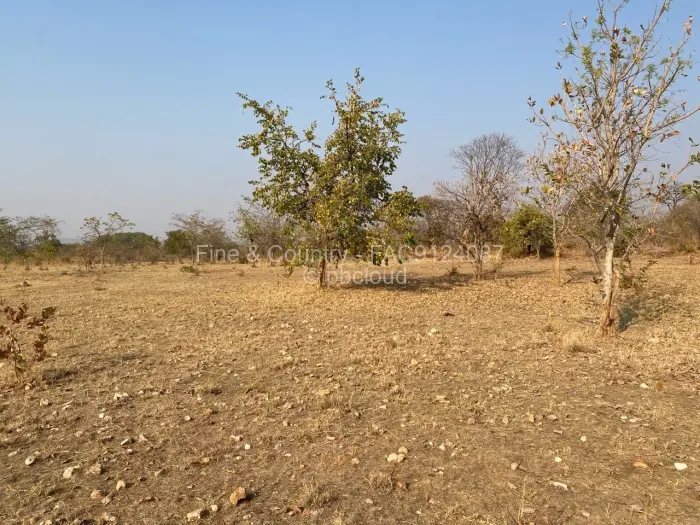 Farm/Plot to Rent in Zvimba, Zvimba