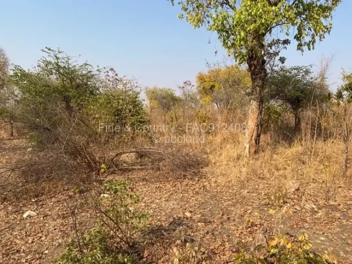 Farm/Plot to Rent in Zvimba, Zvimba